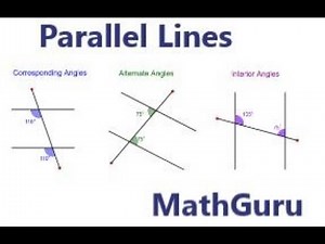 Angles in Parallel Lines Made Easy | Geometry | Grade 8-9