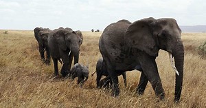 Evernoteが対応しているMarkdown記法一覧