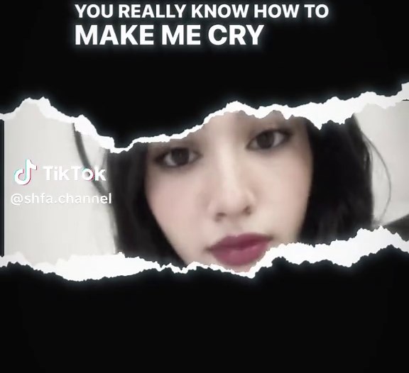 شفا: متابعة جديدة ومحتوى مميز