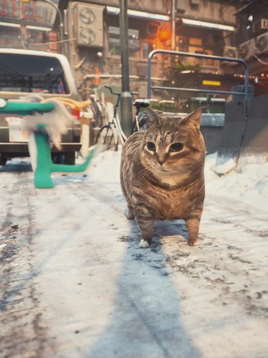 Exploring the Year of the Snake