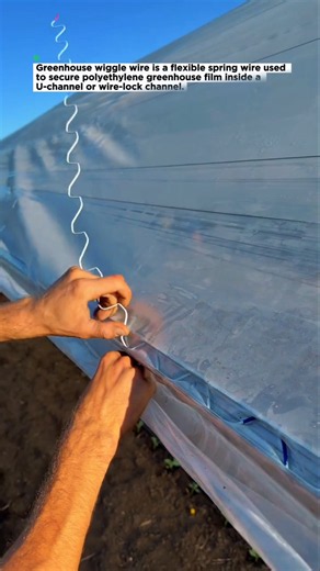 This Simple Greenhouse Tool Secures Plastic Film in Seconds! | Wiggle Wire Installation