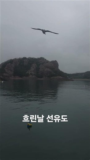 흐린날 선유도 유람선 관광