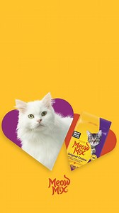 Looking for a cat? It'll be love at first bite with Meow Mix Cat Food. | Meow Mix