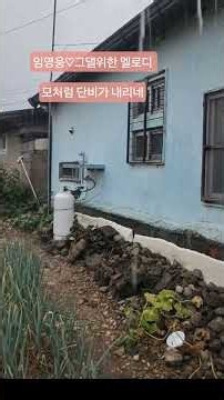 임영웅 노래 모음 | 모처럼 단비 내리는 날 듣는 감성 음악 #shortsfeed