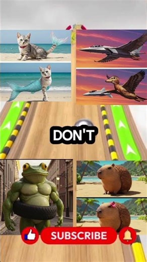 Answer these questions correctly #quiz #quiztime #quizchallenge #challenge