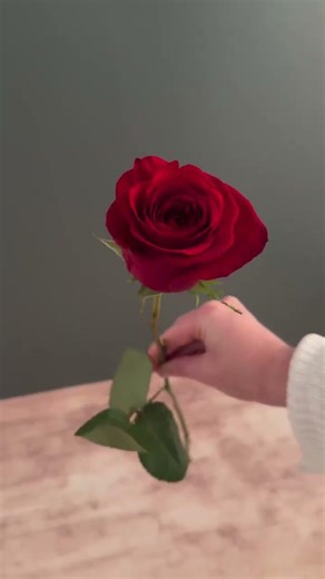 Building a Holiday Bouquet