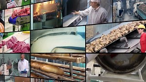Food Industry - Multi Screen Video. Sugar Production in Sugar Refinery. Meat Processing Plant. Bread Factory. Dairy Product Manufacturing. Food Processing. Basic Food Items Production.
