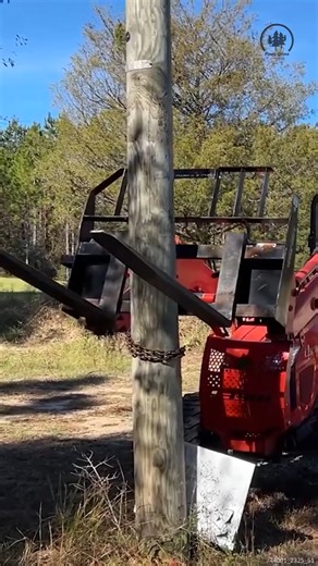 The Tractor Made QUICK Work of This #Tractor #TractorLife #TractorWork #DIY | Piney Grove Homestead and Mini Farm