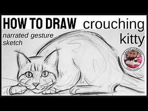 How to Draw Cat Ready to Pounce, crouching, hunting, full body front face side view Bengal with paws