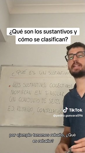 Clasificación de los Sustantivos: Definición y Tipos