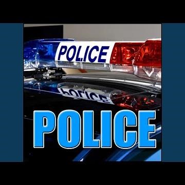 Ambience, Emergency - Accident Aftermath: Siren, Radio Chatter, Voices, Electronic Medical...