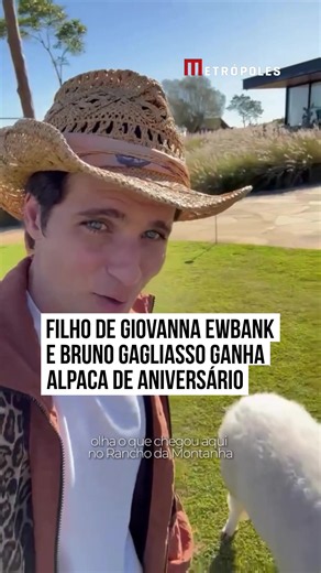 Alpaca de presente: Bruno Gagliasso dá alpaca para o filho Zyan