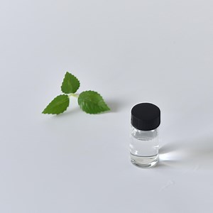 [Hot Item] Tert-Butyl Methyl Ether Mtbe CAS 1634-04-4 C5h12o