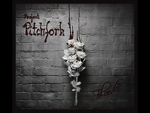 Project Pitchfork - Blood (Unboxing)