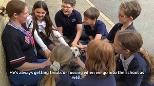 3.9K views · 27 reactions | Congratulations to the BBC Radio York Make A Difference Animal finalists!  Find out more about the awards here  https://bbc.in/4dwBZJW | BBC York | Facebook