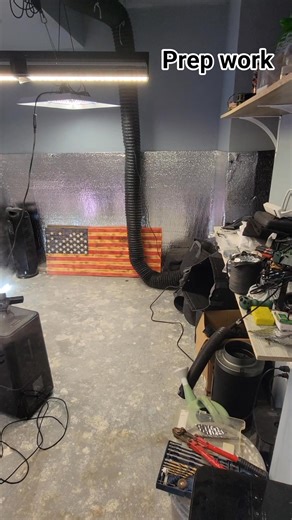 Chris Green on Reels