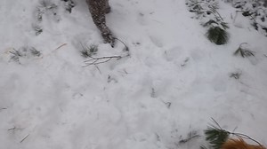 La gang, contente de cette neige! | Whoodle