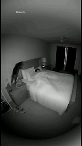 32K views · 11K reactions | Woke Up to a Cat Stampede on My Face…...