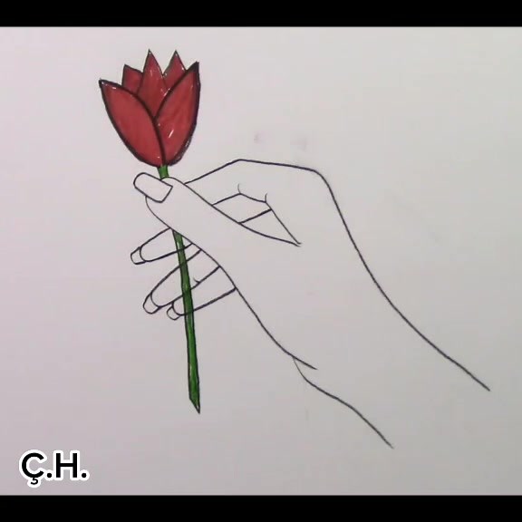 Step-by-Step Flower Drawing and Coloring Tutorial