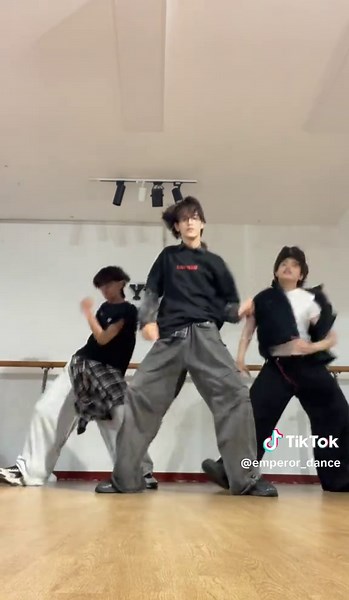 Understanding the Role of an Emperor: Insights and Influence