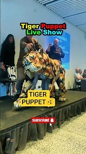 Tiger Puppet Live Show 🐯 | Realistic Puppet Movement in Front of Audience 😱🔥 #shorts