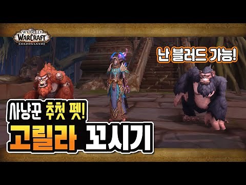 냥꾼 희귀 펫! '고릴라 야수' 정보 [와우 어둠땅]