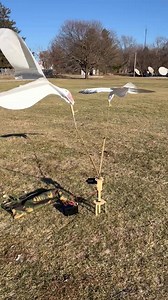Our new 2-Arm low profile rotary machines are designed to be low to the ground, creating the illusion of birds fighting for food from above. $189 each at flatheaddecoys.com Includes remote control with adjustable speeds and on/off function Powered by a 12v battery with alligator clip connection. (Battery not included) Comes with a custom camouflage carrying bag Adjustable height 12” to 17” (dimension from top of base to arm attachment) Detachable base that can be tapped into frozen/hard ground a