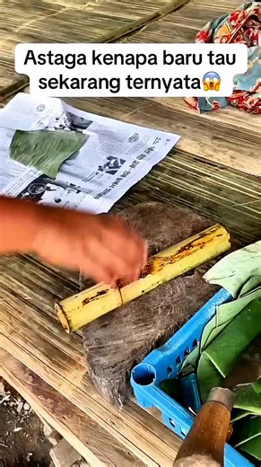 Very Satisfying !!! #reels #fyp #fypreels #viral #farming #tips #trick #tools #machine #unik #kreatif #agriculture #lemang #ketan #tradisional #makanan #food #traditionalfood pengikut @sorotan SEMUA SUKA | Firman Lukman
