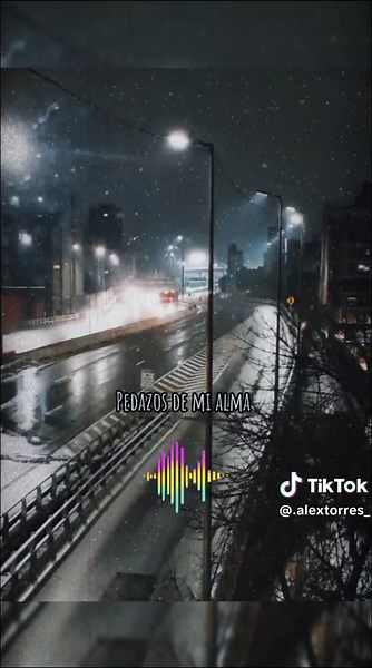 Lo Busqué - Ana Bárbara: Letras y Significado