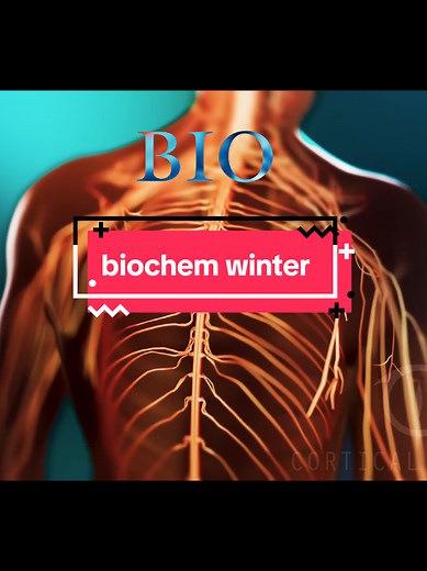 what's your favorite biological macromolecule? ib and audio from lyfestyle.jax. sources: Cortical Studios Showreel 2025, Ribosome Studio, How the GABA-B Receptor Works: An Essential G-Protein Coupled Receptor, Clockwork Allergies Might Have WHAT In Common, Ribosome Studio The Sodium-Potassium Pump, Intervoke Medical Animation Understanding How Dopamine Affects Movement – and How It’s Treated. editorial by Ernst, Lu, & Mattei in Frontiers in Pharmacology, 2024.
