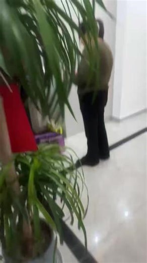 🍃努力是一种生活态度 和🍃年龄无关🍃生活要有激情 只要你有前进的方向和目标🌿什么时候开始都不晚负能量的脑袋不会给你正能量的人生 🍃🌿简简单单 学最好的别人 做最好的自己❤