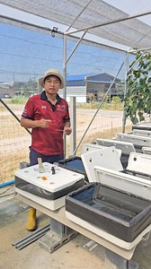 ค่า Ph ของน้ำ มีความจำเป็น ที่ต้องปรับก่อนลงปลูก ในแบบไฮโดร รึไม่ #ปรับPh | Puchong Yotha