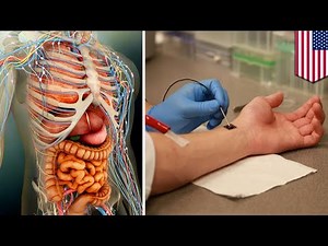 Cell regeneration: Nanochip can regrow organs, heal injuries with just one touch - TomoNews