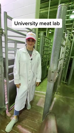 Exploring the University Meat Lab Harvest Floor