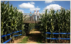 Get Lost - It's Fun at Stony Hill Corn Maze