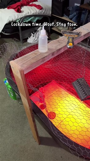 Revolutionize Your Egg Hatching with Chalixion's 36-Egg Incubator