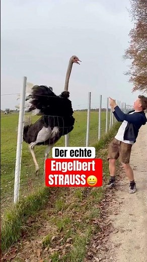 Da is er😀 #engelbert #strauss #engelbertstrauss