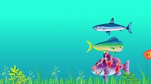 Under Water, Fish, Underwater