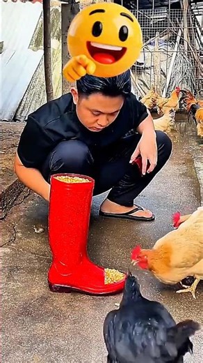 Never Buy a Chicken Feeder Again (3 Smart DIY Ways) #chicken #satisfying