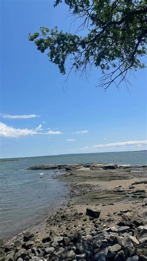 Maybe it’s time for a new zip code… One where you trade car horns for birdsong and deadlines for sunsets over the water. Westchester offers more than homes — it offers peace, space, and connection with nature. 🏡 Ready to explore what life could look like in your next zip code? Let’s talk. | Betty Hickey Real Estate