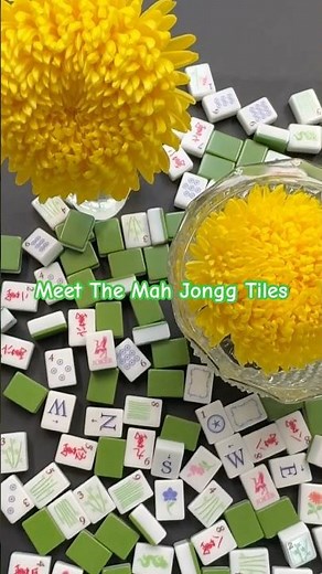 Learn the Mah Jongg Tiles in Under 40 Seconds