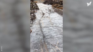 This mesmerising footage shows a natural phenomenon of a frozen puddle thawing under its frozen surf