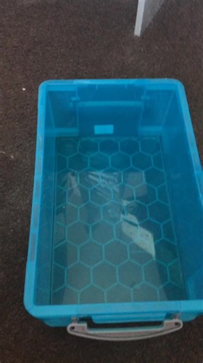 Not for sale! (@vsco_packs_1256)’s videos with original sound - Not for sale!