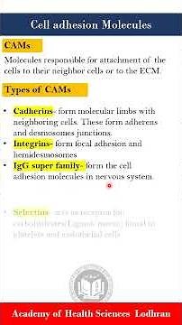 Cell adhesion Molecules (CAMs) | Physiology | by Imran Yaseen