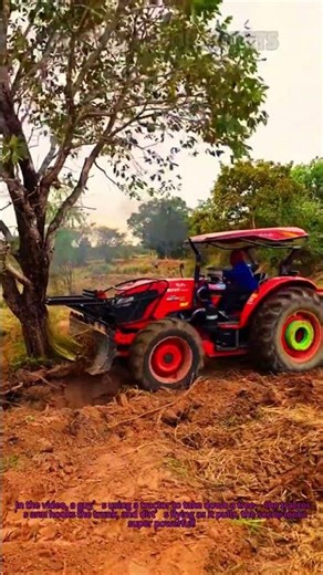 How to Take Down a Tree with a Tractor? Powerful Trick (But Safety First!)