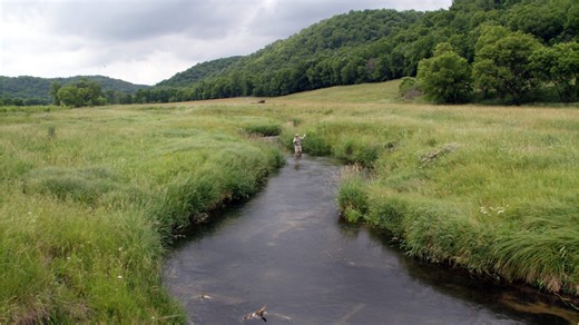 The Kickapoo Natural areas Wisconsin's driftless region are National Natural Landmarks