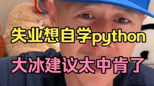 2026年学Python还有前景吗？？大冰给年轻人的建议：你没资格迷茫，抓紧时间学技术掌握技术！（人工智能/全栈开发）