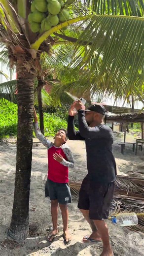 The coconut #viralvideo #youtubeshorts #shortvideo #shorts #short #funny #youtube #viral #video