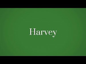 Harvey- Alex G lyric video (sped up)