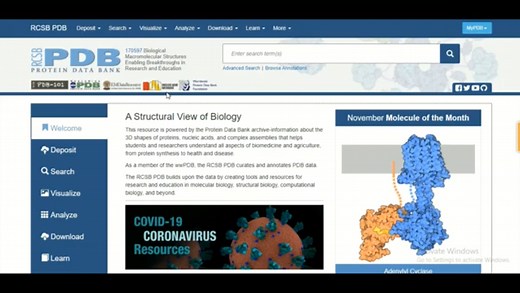 【分子对接前奏】PDB 获取蛋白结构How To Use RCSB Proteindatabank
